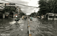TP HCM: Người dân khổ sở về nhà sau cơn mưa trắng trời