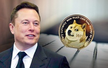Tỉ phú Elon Musk lại làm phép, đồng Dogecoin tăng vọt