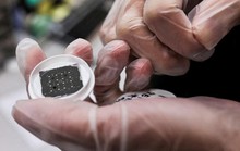 Lệnh trừng phạt của Mỹ giúp ngành sản xuất chip Trung Quốc lên ngôi