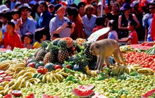 Những lễ hội có một không hai trên thế giới