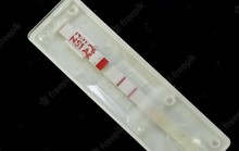 Test nhanh sốt xuất huyết có chính xác?