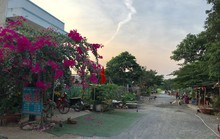 Giải cứu đất nông nghiệp mua bán giấy tay