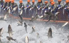 Mỹ lập liên minh khẩn cấp chống đánh bắt cá trái phép