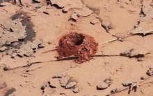 Sự sống Sao Hỏa nằm sâu 2 mét dưới lòng đất?