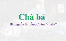 Chà bá lửa
