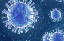 Phát hiện virus corona mới ở Thụy Điển, không biết có gây nguy hiểm cho người hay không 