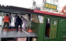 Một ngư dân bị cá mập cắn khi lặn ở vùng biển đảo Bạch Long Vỹ