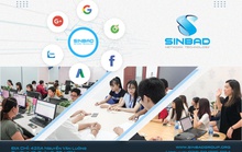 Công ty Mạng Sinbad 425A Nguyễn Văn Luông – giải pháp digital marketing hiệu quả, tiết kiệm
