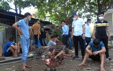 29 đối tượng miệt mài xem đá gà và cá độ thì bị bắt