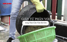 Giấy làm từ phân voi trong Thảo Cầm Viên Sài Gòn