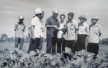 ĐẠI TƯỚNG MAI CHÍ THỌ - NHÀ LÃNH ĐẠO TRỌN ĐỜI VÌ NƯỚC, VÌ DÂN (*): Chủ tịch gạo