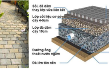 Giải pháp vỉa hè thẩm thấu nước kết hợp mảng xanh chống ngập