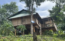 Xây nhà trái phép ở rừng phòng hộ: Thường trực Huyện ủy làm việc với vợ chồng chánh án