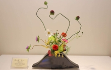 Triển lãm hoa đạo Ikebana Nhật Bản đang diễn ra tại TP HCM