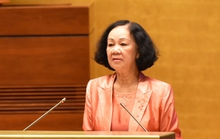 Bà Trương Thị Mai: Vào Đảng mà động cơ không trong sáng, giữa chừng gãy cánh