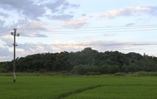 Bảo tồn lâm cấm từ hương ước