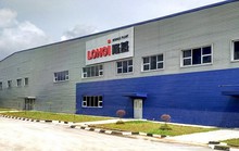 LONGi thiết lập kỷ lục mới về hiệu suất của tế bào quang điện