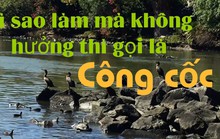 Công cốc