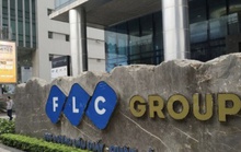 Nhóm cổ phiếu FLC tăng kịch trần dù vào diện cảnh báo