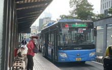 TP HCM bổ sung 12 tuyến xe buýt mới