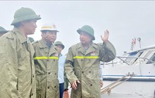 Bão số 2 cách Quảng Ninh 200 km