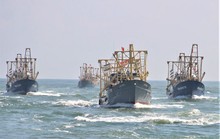 Sống trên biển bạc vẫn CHƯA THOÁT nghèo (*): Phát triển bền vững, có trách nhiệm