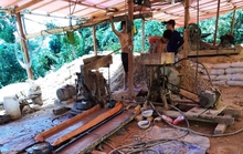 Quảng Nam yêu cầu công ty của đại gia vàng Ngô Văn Quang tạm dừng hoạt động