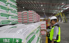 Giảm lệ thuộc vào thức ăn chăn nuôi nhập khẩu