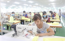 Bình Dương: Hỗ trợ doanh nghiệp vay hơn 540 tỉ đồng để trả lương cho người lao động