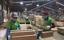 Xoay xở giữ việc cho công nhân