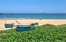 Thư giãn bằng những chuyến đi
