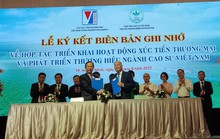 Phát triển thương hiệu ngành cao su Việt Nam