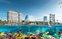 KDI Holdings tích cực kích cầu du lịch địa phương