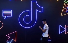 Chứa nhiều nội dung độc hại, TikTok phải xoá 113 triệu video