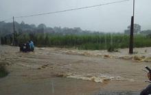 Tá hỏa phát hiện người đàn ông tử vong ngoài cánh đồng