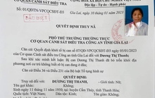 Bắt cụ bà 73 tuổi vay 14 tỉ đồng rồi bỏ trốn
