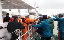 Vợ chồng cùng cứu nạn trên biển