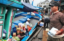 Ngư dân Quảng Ngãi vươn khơi bám biển xuyên Tết