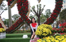 Ngắm Quảng trường Tam Kỳ khoác áo mới rực rỡ sắc hoa ngày xuân