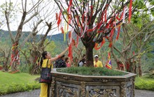 Đà Nẵng có lễ hội Đền Thần Tài cho du khách cầu an ngày Tết