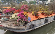 Ghe chở hoa kiểng Tết cập Bến Bình Đông nhiều chưa từng thấy