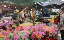 Chợ hoa Hồ Thị Kỷ đông nghẹt người, nhiều nơi xổ hàng giá rẻ