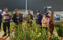 Đà Nẵng: Hoa sale sập sàn vẫn không ai mua
