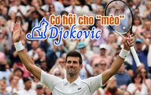 Cơ hội cho “mèo” Djokovic trong năm Mão