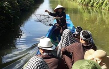 Du lịch Cà Mau, Bạc Liêu hốt bạc dịp Tết