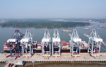 Xuân về trên bến cảng