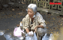 VIDEO: Bà cụ dành cả đời để cưu mang mèo hoang