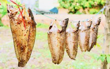 Cuộc thi viết Hương vị Tết: Cay khóe mắt với món ăn kỷ niệm