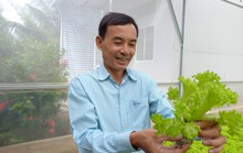 CLIP: Bỏ việc giám đốc về trồng rau thủy canh