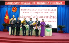 Gia Lai bầu 2 phó chủ tịch UBND tỉnh